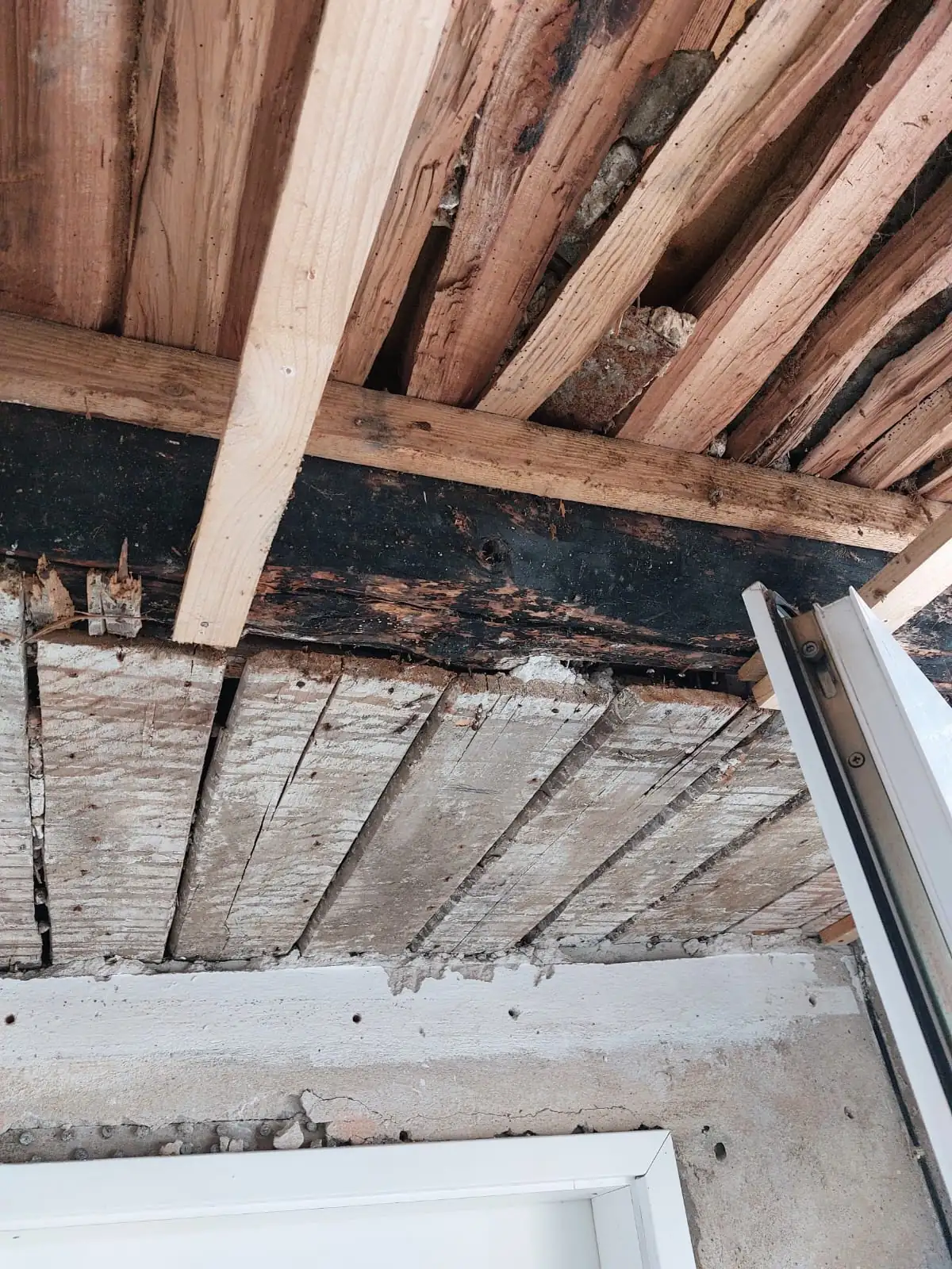 Holzbalkendecke freigelegt und mit neuem Holz verstärkt
